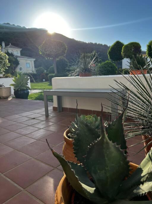 Ruim Appartement, Zonnig Terras, Alhaurin Golf! Alhaurín el Grande Екстериор снимка